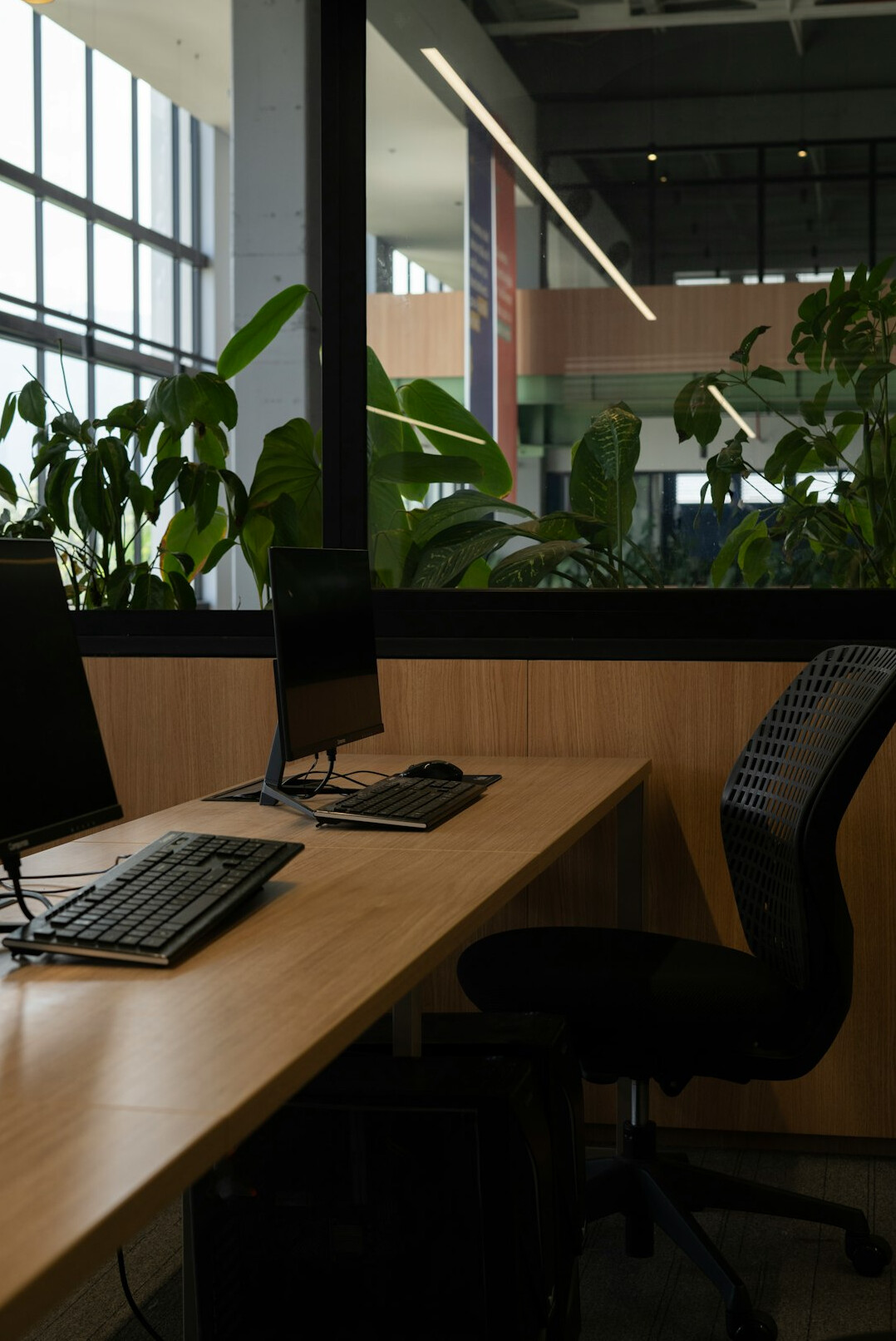 sustainable office desk with plants